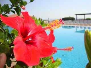 Casarossa Hotel Residence & Beauty Crotone Exteriér fotografie